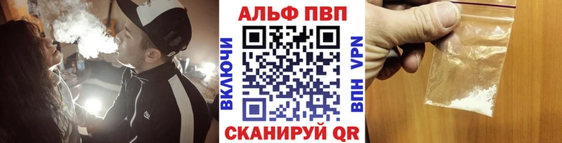 A PVP СК КРИС  Терек 