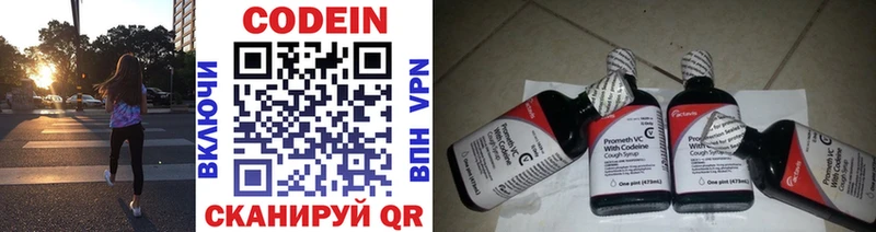 Codein напиток Lean (лин)  купить  сайты  Терек 