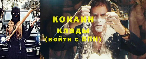 шишки Новокубанск